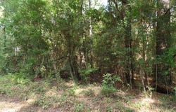 415 County Road 580, Call, TX 75933