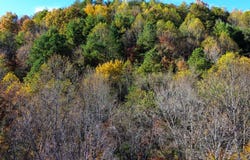 02 Westbourne Rd., Duff, TN 37729