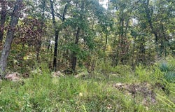 Ozark Trail Road, Lincoln, MO 65338