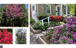 9807 GARDINER AVE, SILVER SPRING, MD 20902