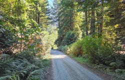200 Joseph Lane, Crescent City, CA 95531