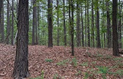 NC 3920 Road, Marble Falls, AR 72648