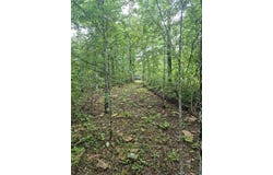 S 4535 Road, Vian, OK 74962