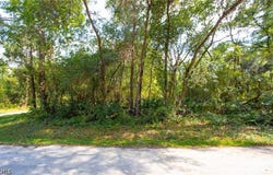 8009 Packingham Street, Webster, FL 33597
