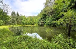 1.11 Brigham Rd, Richford, NY 13835