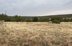 67 Hickory Lane, Concho, AZ 85924
