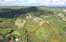 Ceiba, Cidra, PR 00739