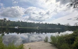 NW WEST S Drive, MAYO, FL 32066