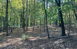 L4 Burden Lake Road, Averill Park, NY 12018