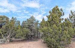 Side Hill Pass lot: 1-B, Pioche, NV 89043