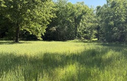 214 Authur Byrd Road, Pocahontas, TN 38061