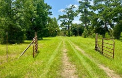 3882 Co Rd 4875, Warren, TX 77664