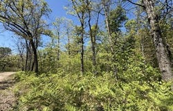 Parcel C USFS 5196, Baldwin, MI 49304
