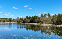 18280 County 11, Park Rapids, MN 56470