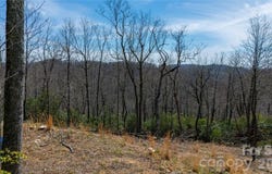 Walker Ridge, Spruce Pine, NC 28777