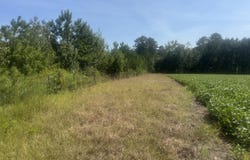 Bud Stephens Road, Evergreen, NC 28438