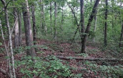 Iron Mountain RD, Mountain View, AR 72560