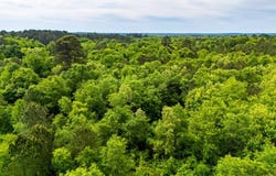 White Oak Rd, Gladewater, TX 75647