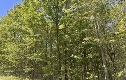 Pleasant Mount Drive, Forest City, PA 18421