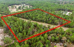 CACTUS HILLS Drive, Melrose, FL 32666