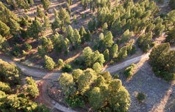 Lot 5 Scranton Lode, Philipsburg, MT 59858