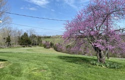 317 Short Road, Salvisa, KY 40372