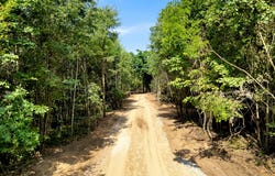 Johnson Road, Fruitport, MI 49415