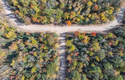 BUTTERNUT CIR lot: 16, Eagle River, WI 54521