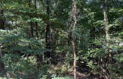 Creek Path/Browns Valley Rd lot: 38, Guntersville, AL 35976