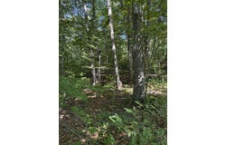 Thompson Road, Hillsboro, WV 24946