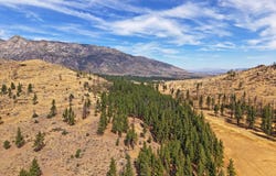 APN 047 State Route 89, Markleeville, CA 96120