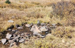 Forest Service Road 330, South Fork, CO 81154