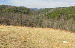 Carsonville Road, Independence, VA 24348