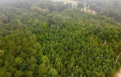 96 Pine Tree Ln, Chesterfield, SC 29709