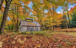 Old Farm Road, Burke, VT 05871