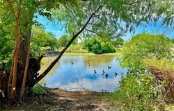 Osage, Ardmore, OK 73401