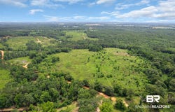 Barton Road, Monroeville, AL 36460