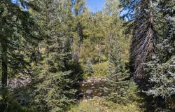 13484 County Road 240, Durango, CO 81301