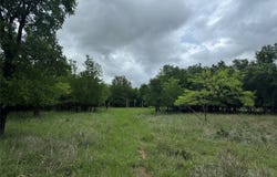 Guadalupe, Weatherford, TX 76087