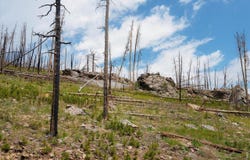 30 Sheep Horn Ct, Bellvue, CO 80512