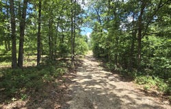 Tract 8 Highway C, Purdy, MO 65734