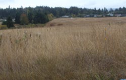 E Brownfield, Sequim, WA 98382