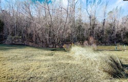 W S Wilson Boulevard, Columbia, SC 29203