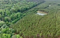 0 County Road 259, Clopton, AL 36317