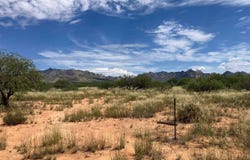E Diamondback Road, Saint David, AZ 85630