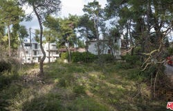 9 ANTHOUSON GREECE, CA 14572