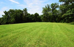 6295 Irish Bottom Road Tract #2, Burkesville, KY 42717