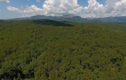 Pumpkintown Highway, Pickens, SC 29672