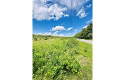 Hawks Drive lot: Parcel D, Republic, MI 49879
