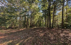 4809 LAUREL TRACE lot: 7, ANNISTON, AL 36207